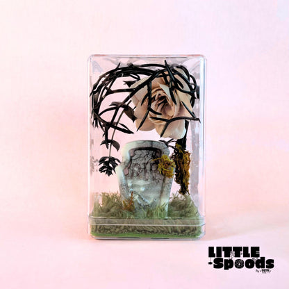 Moss Mat for Jumping Spider Enclosures