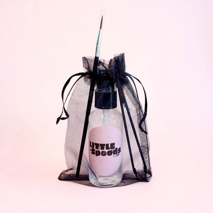 Jumping spider starter kit