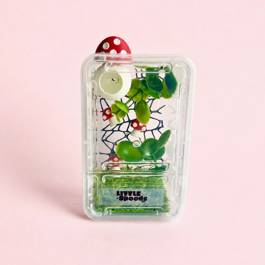 Mushroom Decorated Juvenile Jumping Spider Enclosure