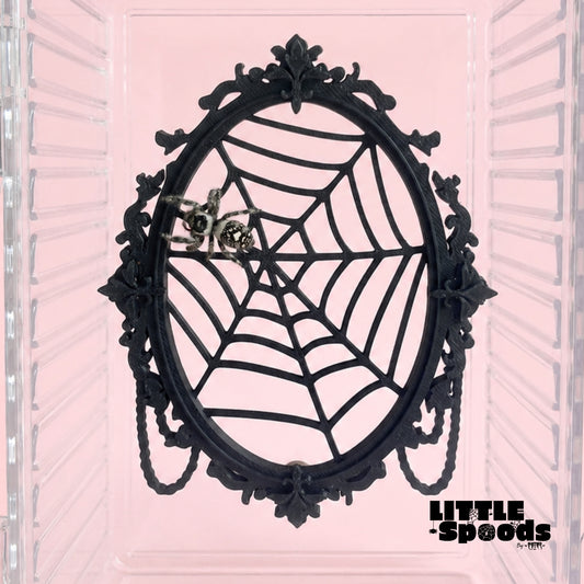 Gothic Jumping Spider Background