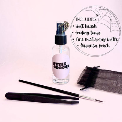 Jumping spider starter kit tools – brush, tongs, spray bottle and pouch