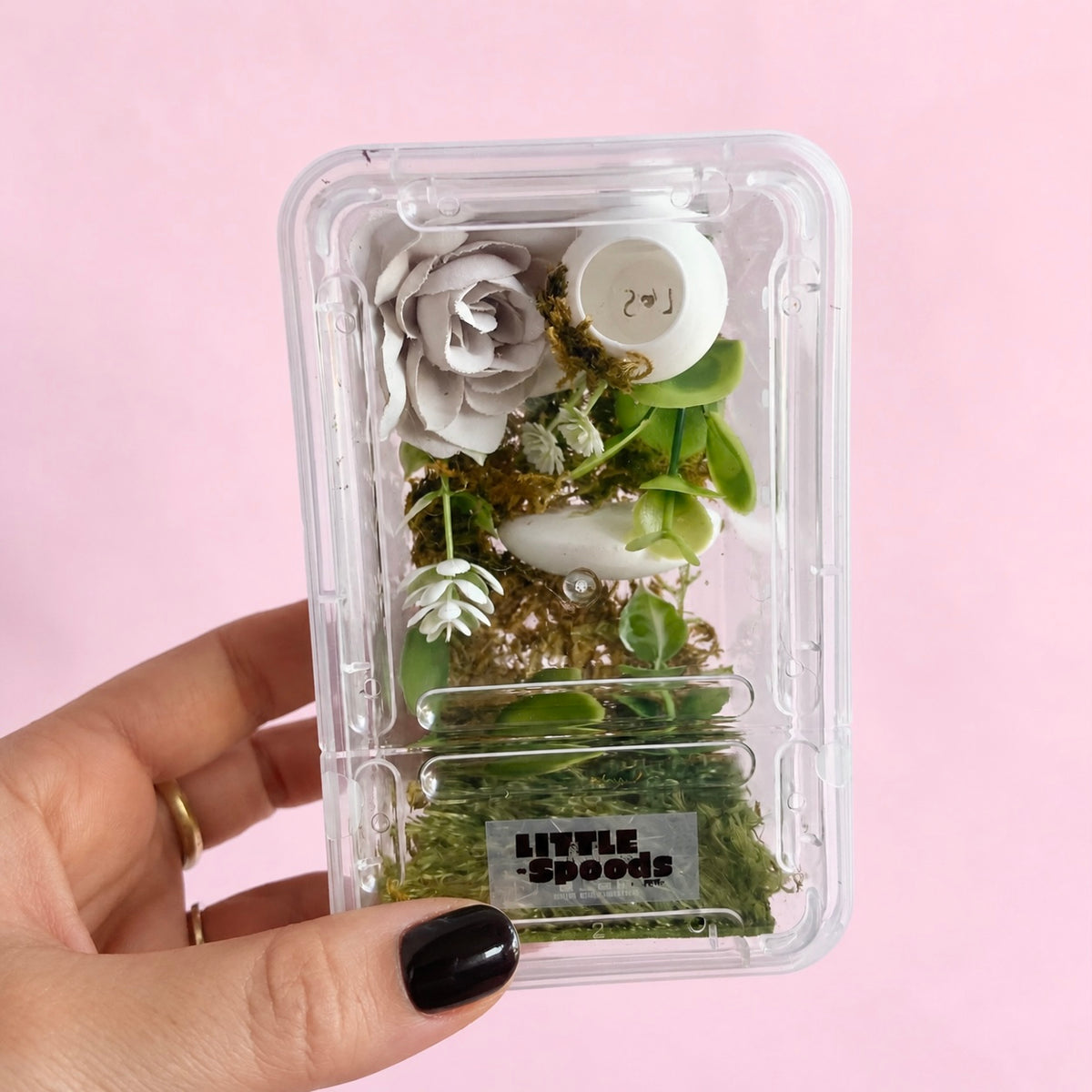 Decorated naturalistic jumping spider enclosure with moss, green foliage, white floral accents, and removable hide, shown in hand