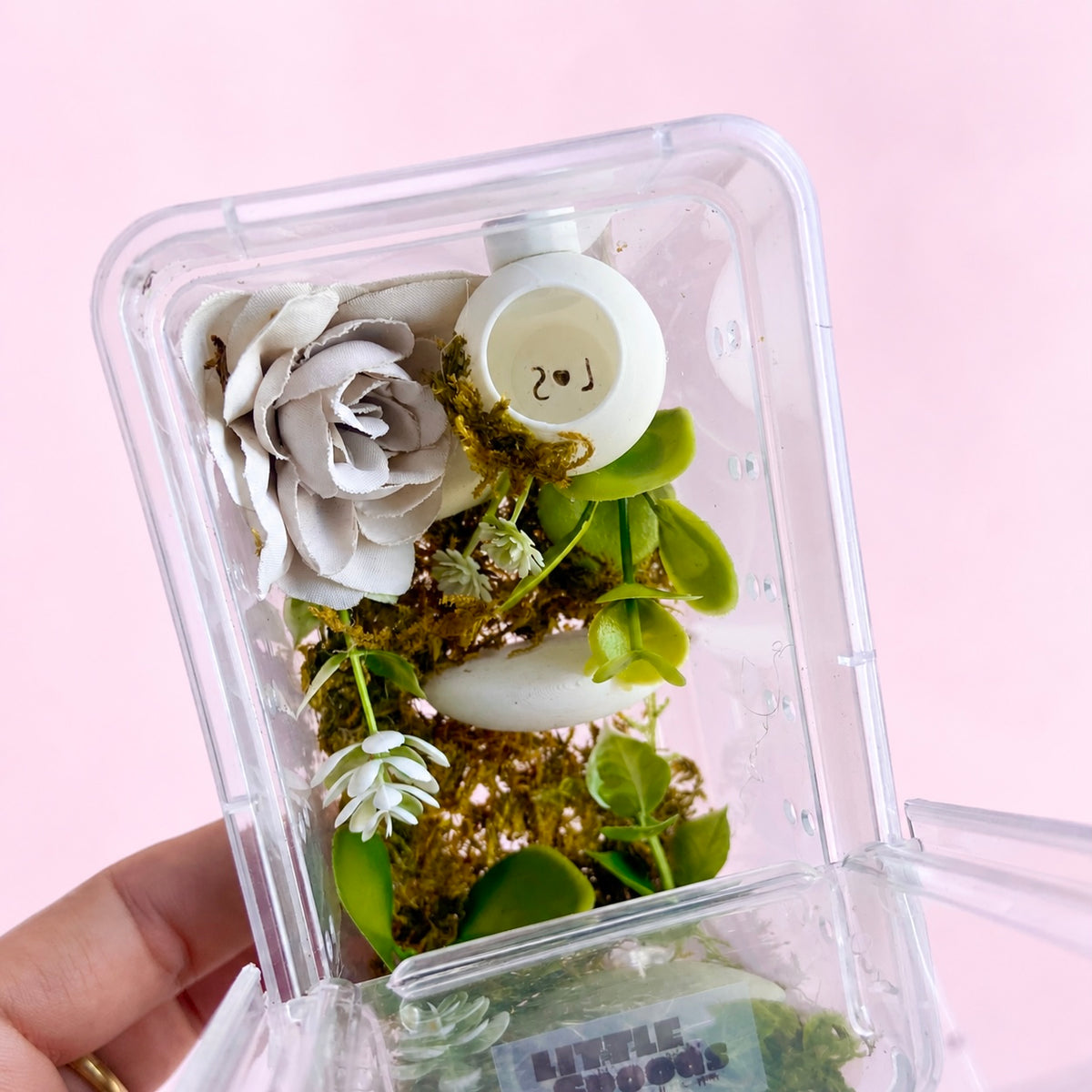 Angled view of a decorated juvenile jumping spider enclosure featuring a natural moss background, cascading greenery, white flowers, and a white hide
