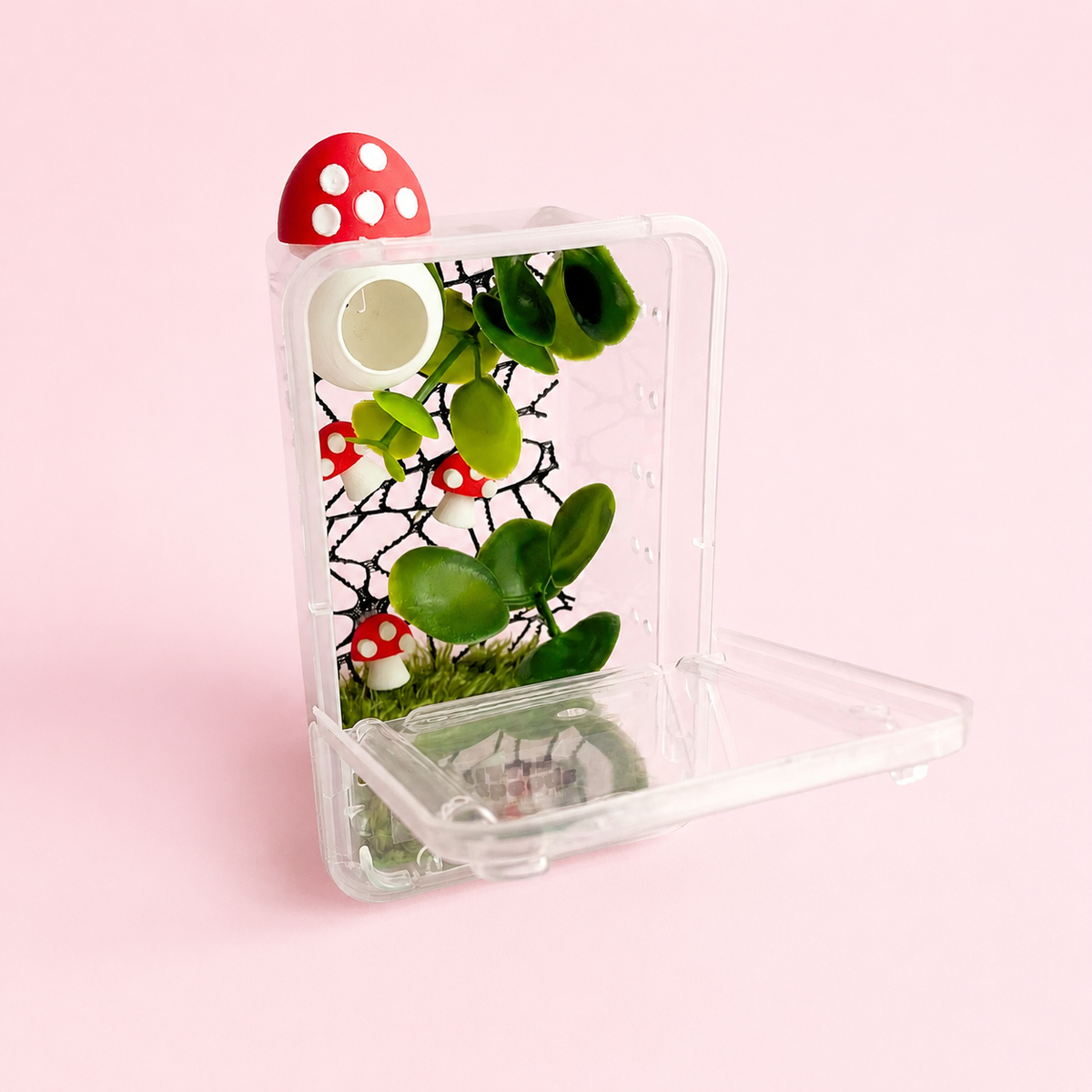 Mushroom Decorated Juvenile Jumping Spider Enclosure