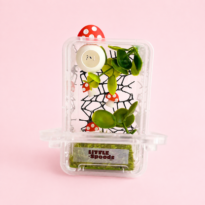 Mushroom Decorated Juvenile Jumping Spider Enclosure