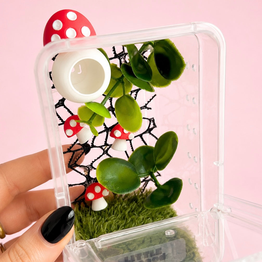 Mushroom Decorated Juvenile Jumping Spider Enclosure