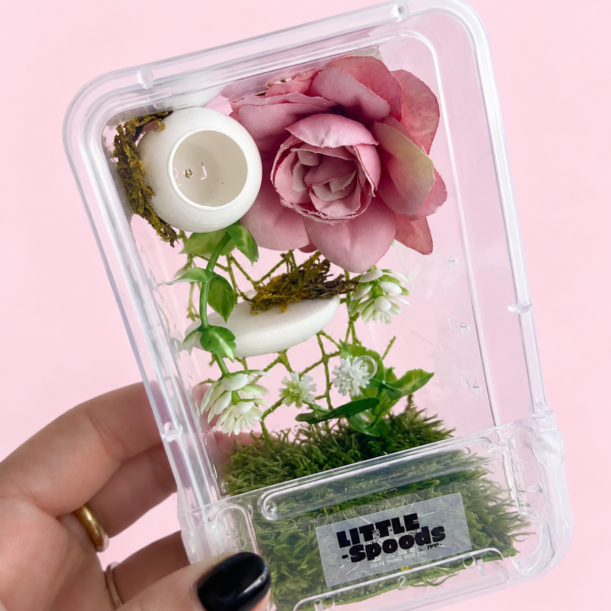 Close angled view of the pink rose, white hide, and greenery inside a decorated juvenile jumping spider enclosure in hand for size reference
