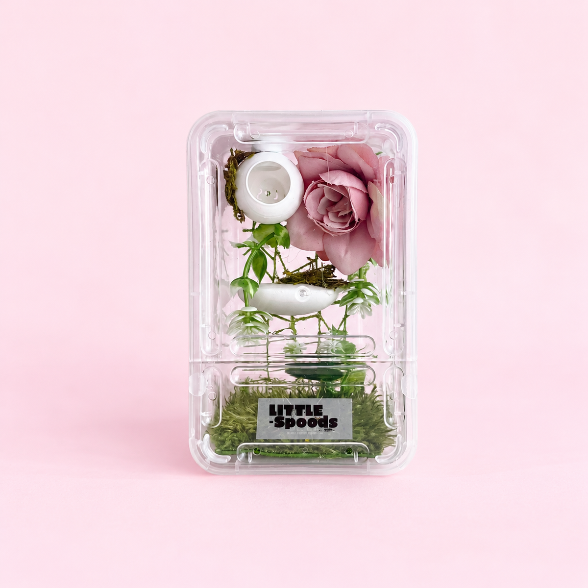 Full view of a compact decorated jumping spider enclosure with a dusty pink rose, green foliage, moss, and white accents
