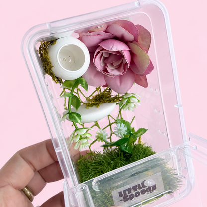Angled view of a floral jumping spider enclosure featuring a pink rose, greenery, moss, and a white hide