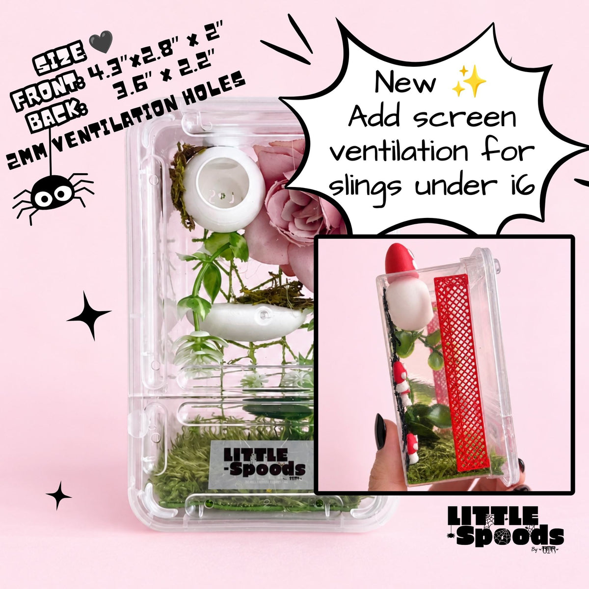 Pink rose jumping spider enclosure with an optional screen ventilation insert for small slings and juvenile spiders