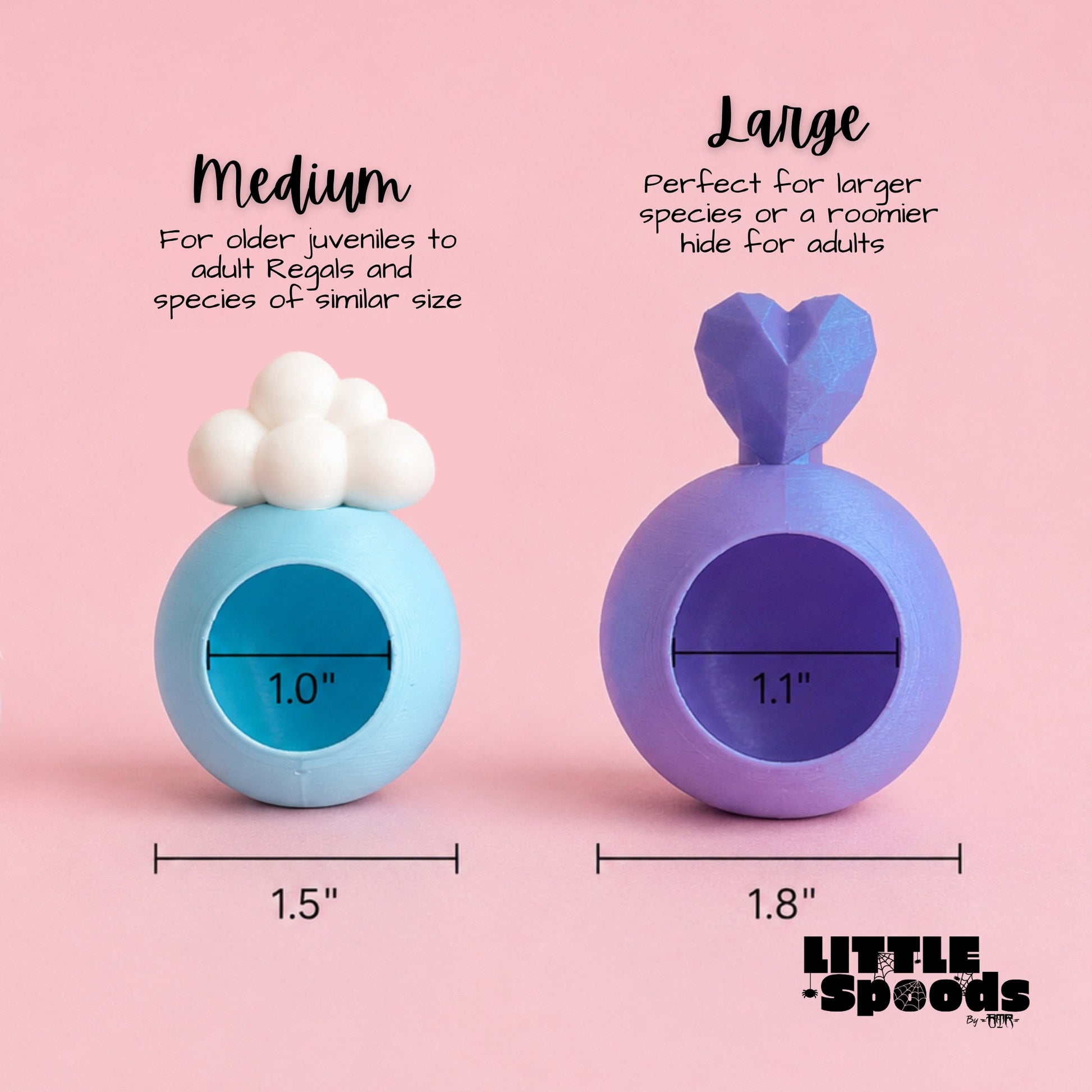 Dimensions of small and medium magnetic cloud jumping spider hides