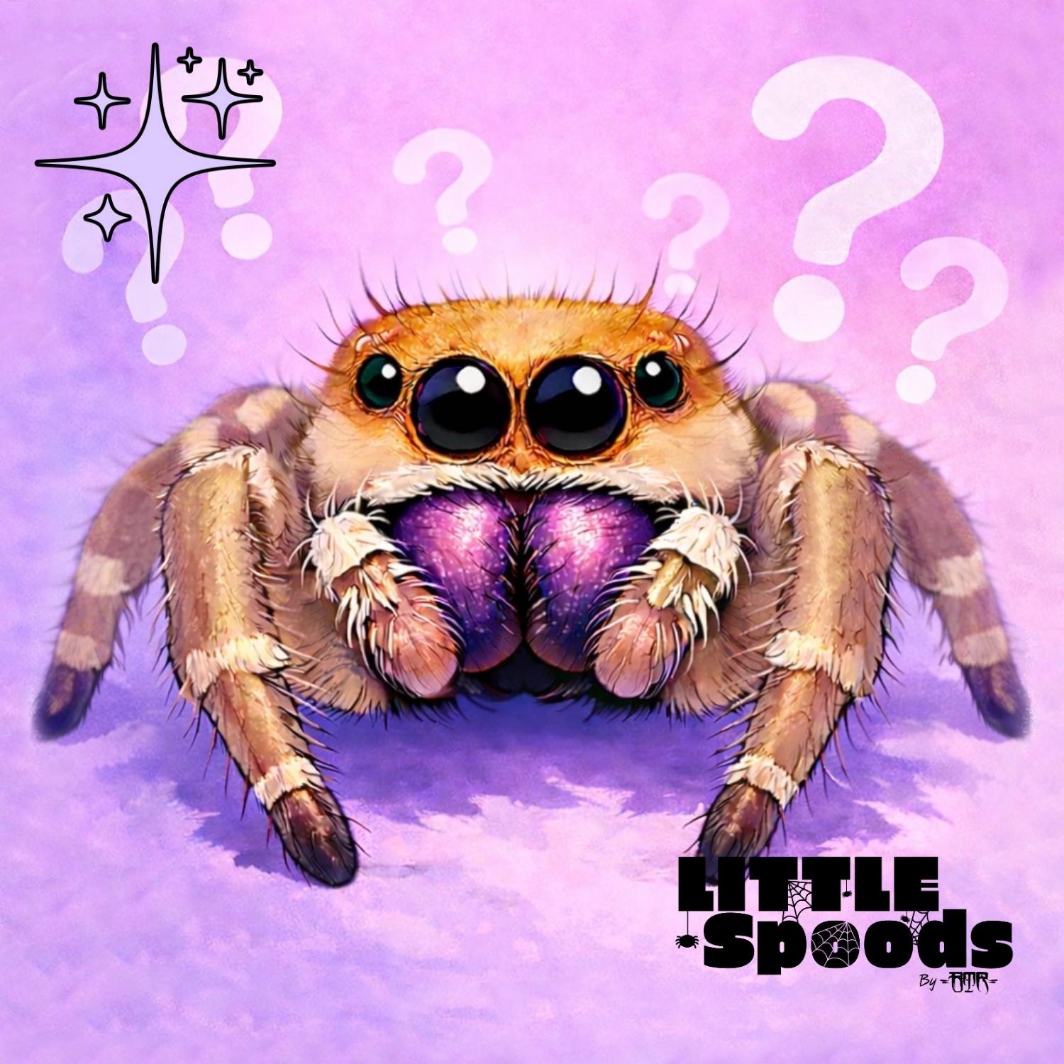 Mystery regal jumping spider female illustration – example spider