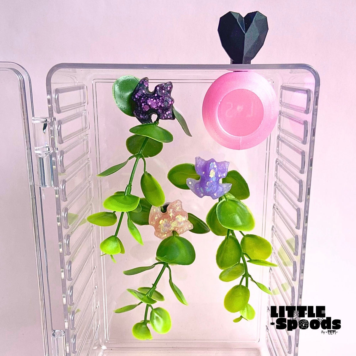 Multiple magnetic jumping spider plant ledges creating a lush enclosure background with climbing and perching spaces