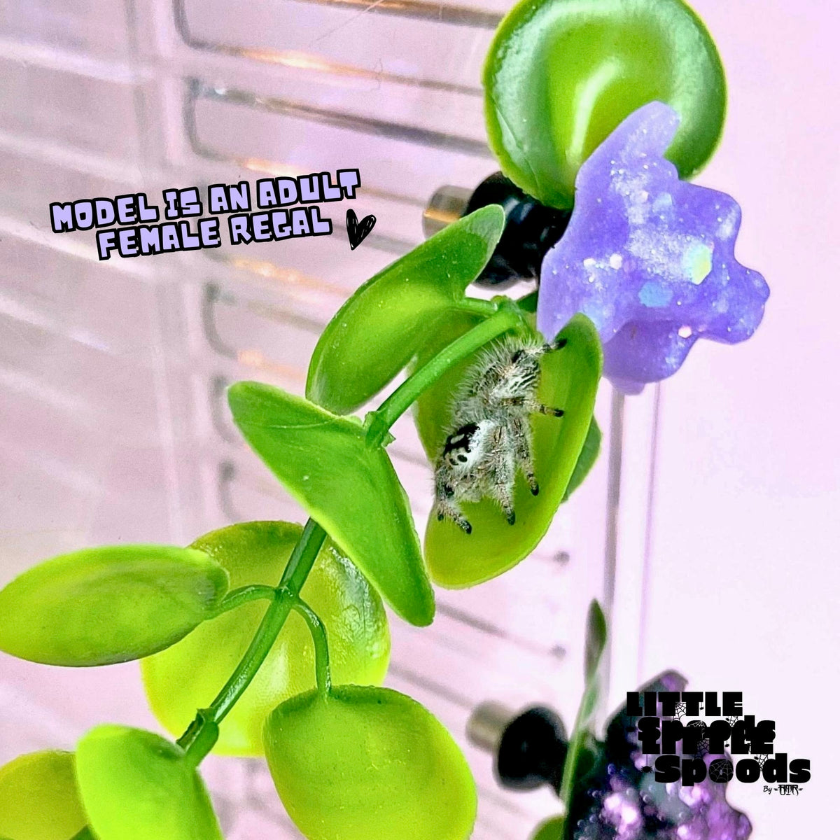 Jumping spider perched among artificial leaves and glitter frog accents on magnetic enclosure plant decor