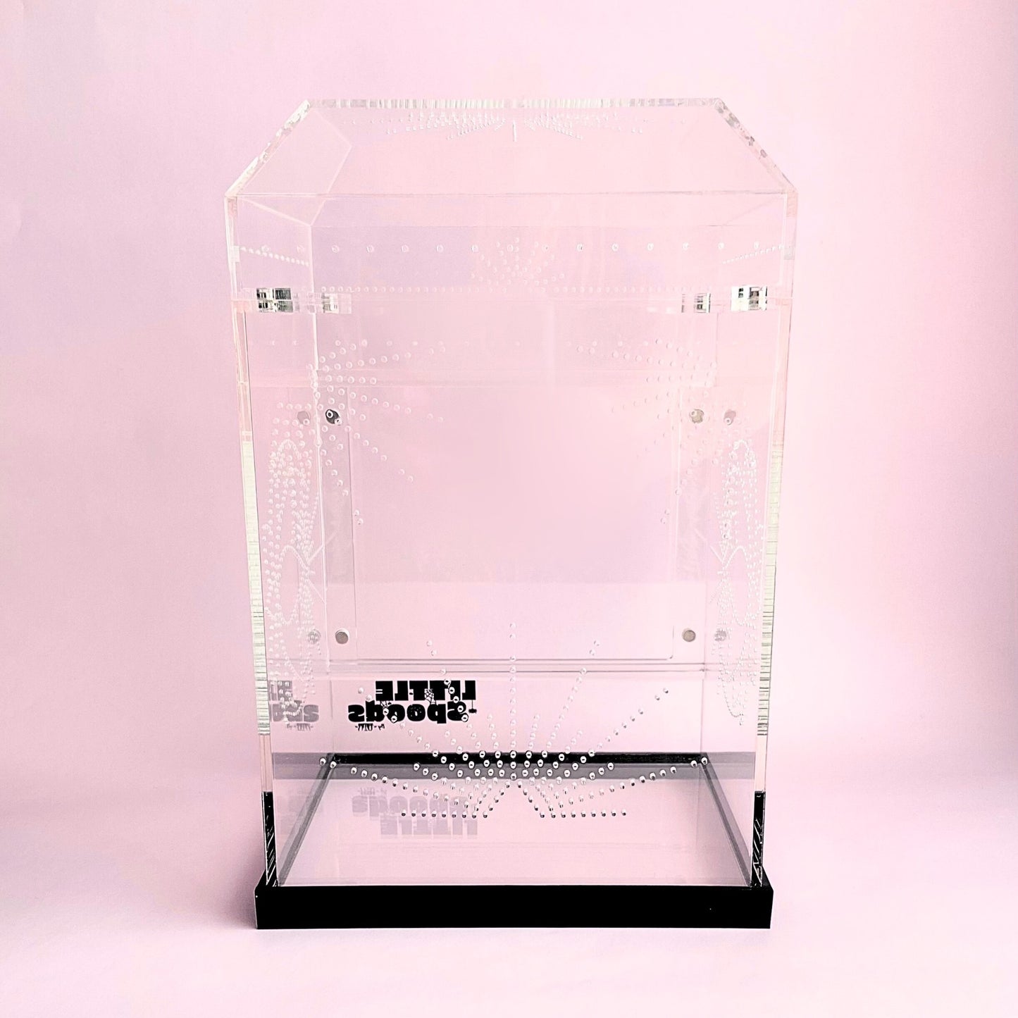 Rear view of the Large Imaginarium jumping spider enclosure with decorative ventilation
