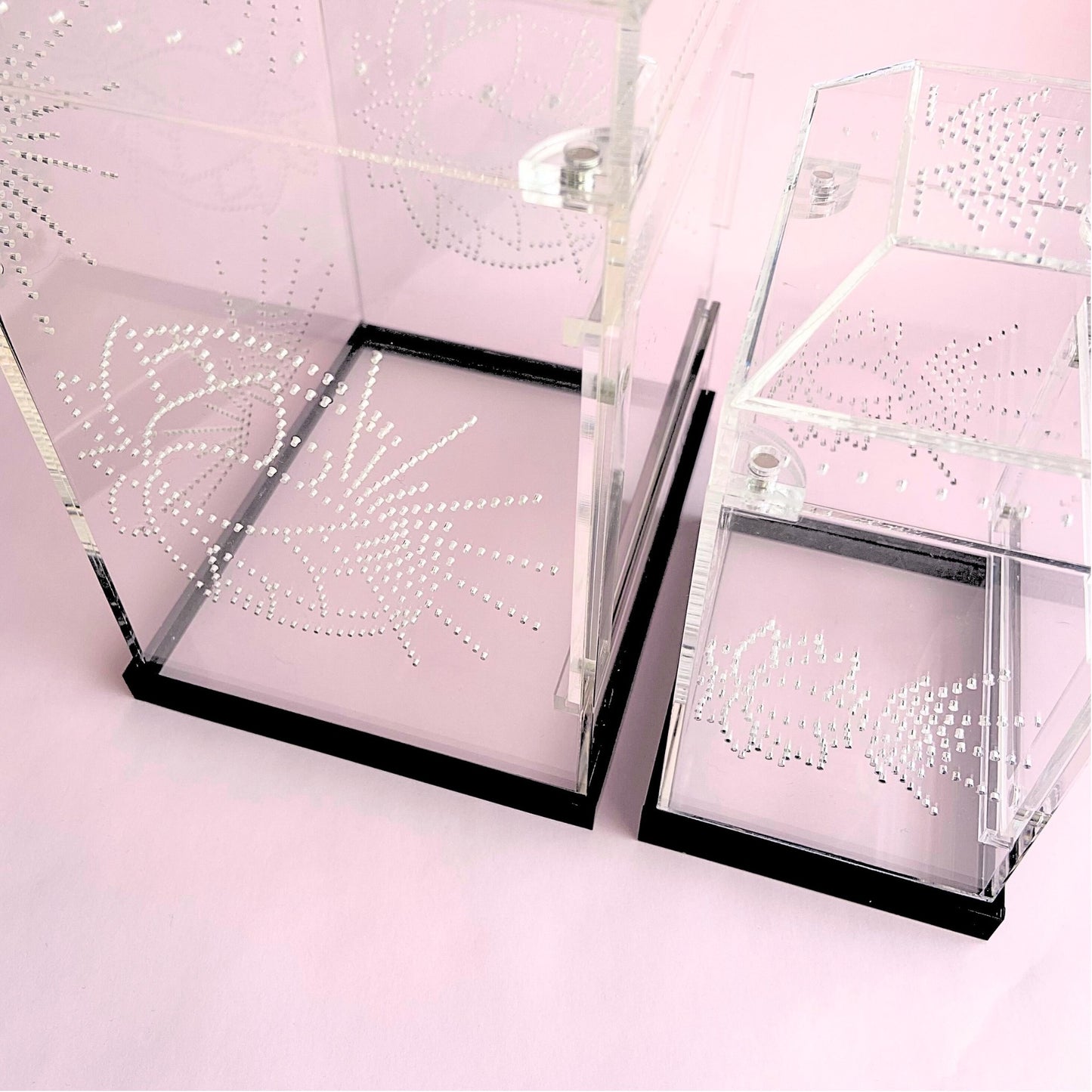Side-by-side comparison of Large and Medium Imaginarium jumping spider enclosures