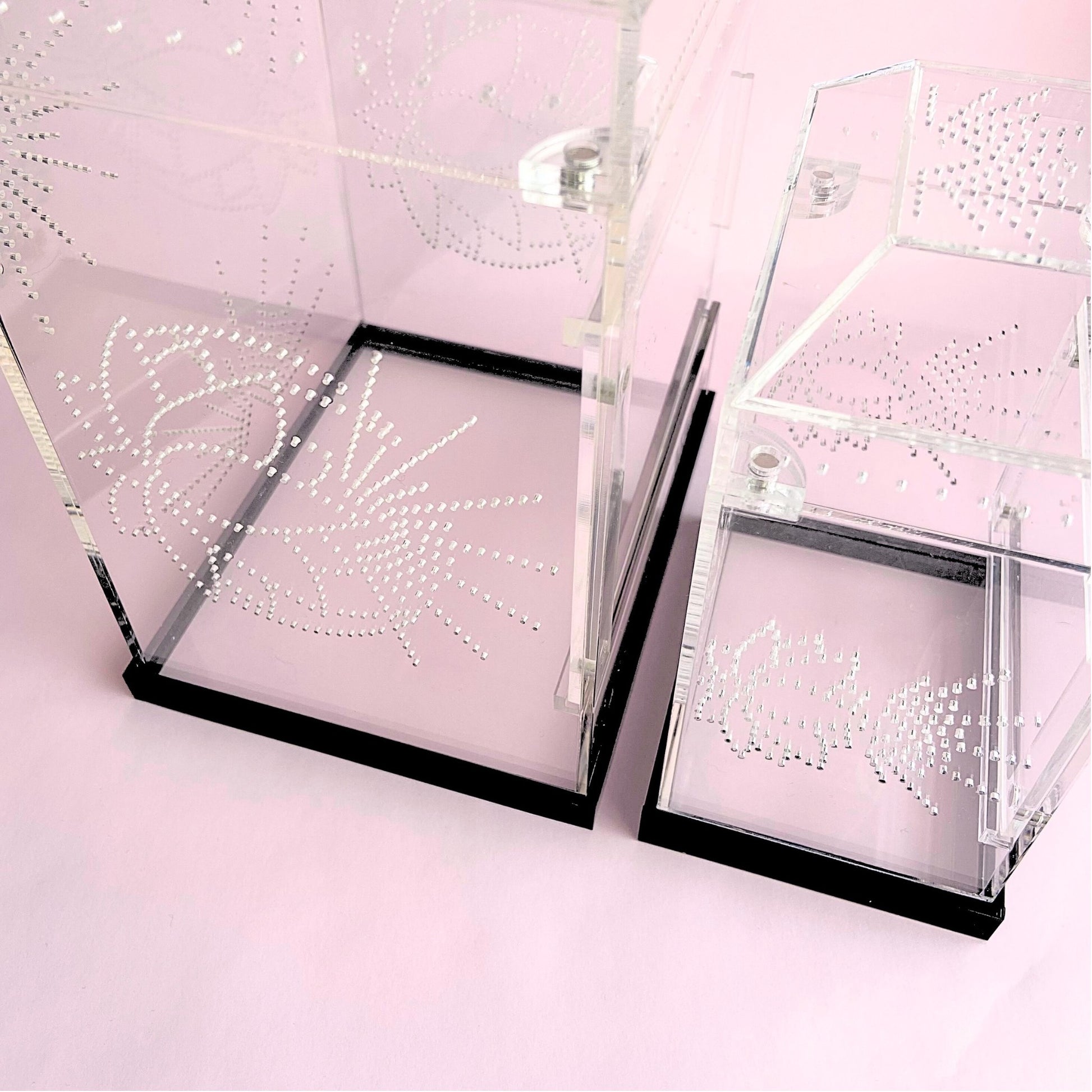 Side-by-side comparison of Large and Medium Imaginarium jumping spider enclosures