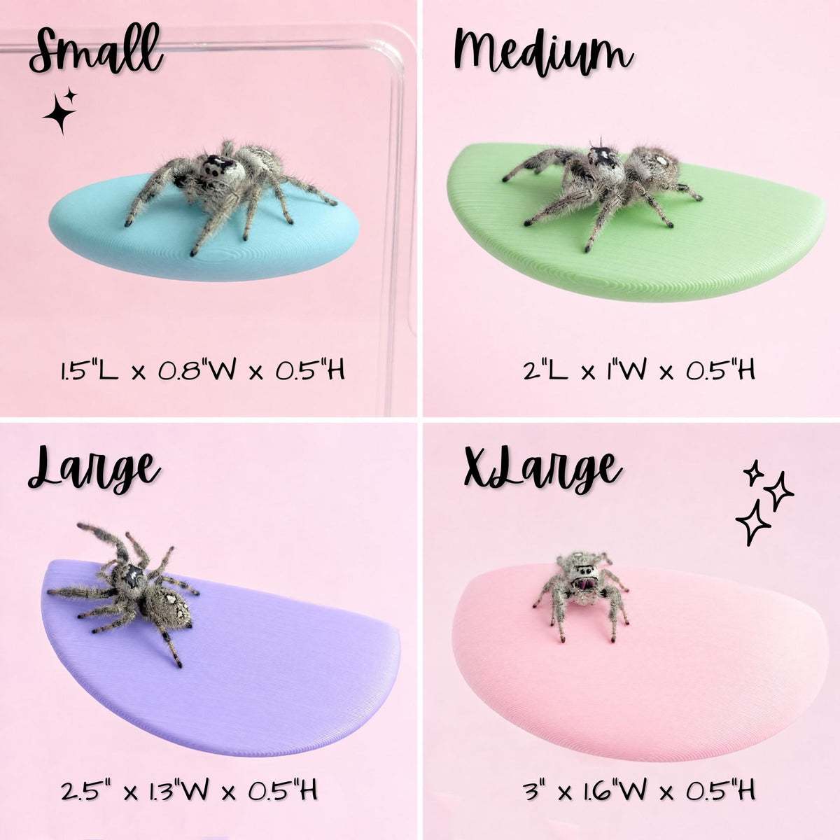 Magnetic jumping spider ledge size chart showing Small Medium Large and X-Large