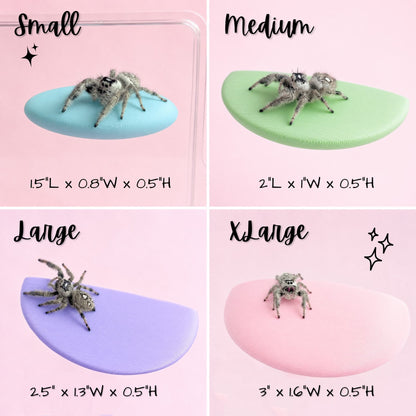 Magnetic jumping spider ledge size chart showing Small Medium Large and X-Large