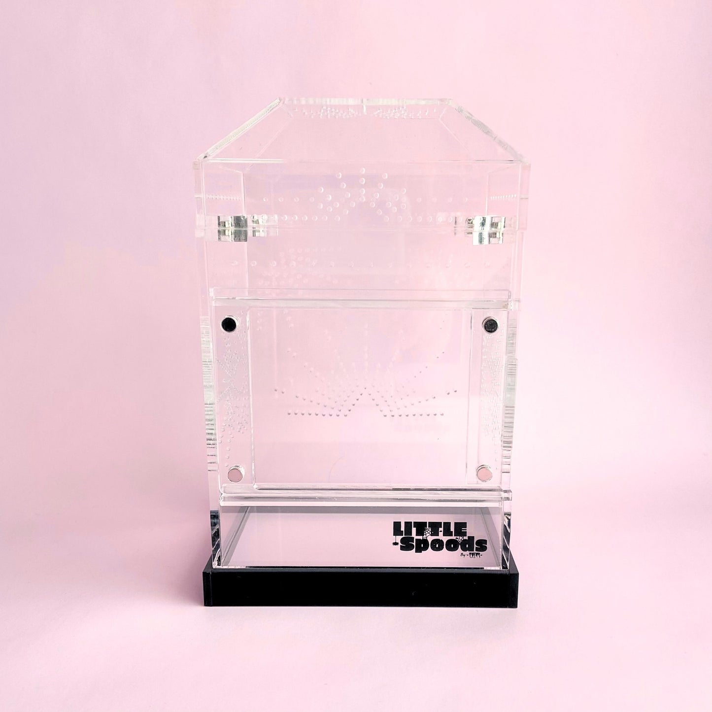 Medium Imaginarium front opening acrylic jumping spider enclosure with crystal-clear panels and geometric ventilation design
