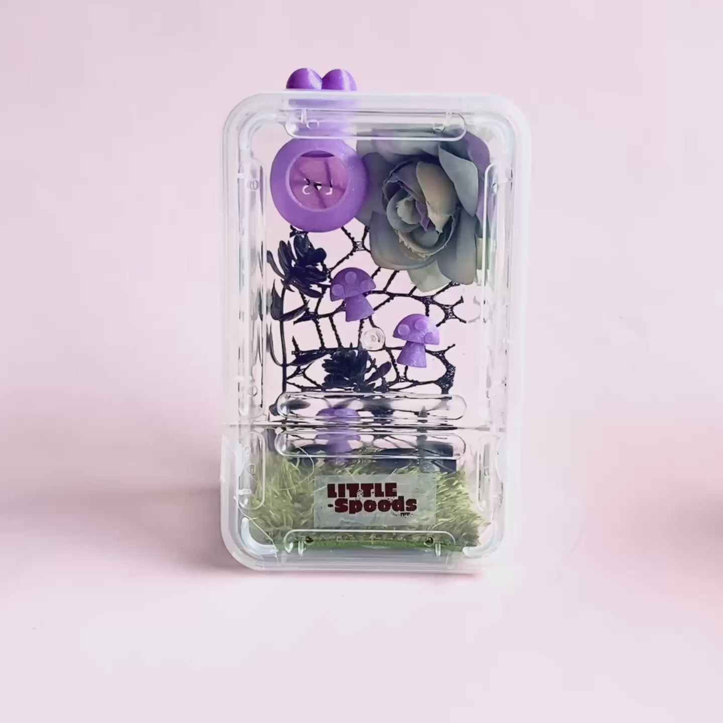 Video of a decorated uvenile jumping spider enclosure in purple, pink or yellow with magnetic hide and floral décor.