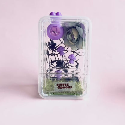 Video of a decorated uvenile jumping spider enclosure in purple, pink or yellow with magnetic hide and floral décor.
