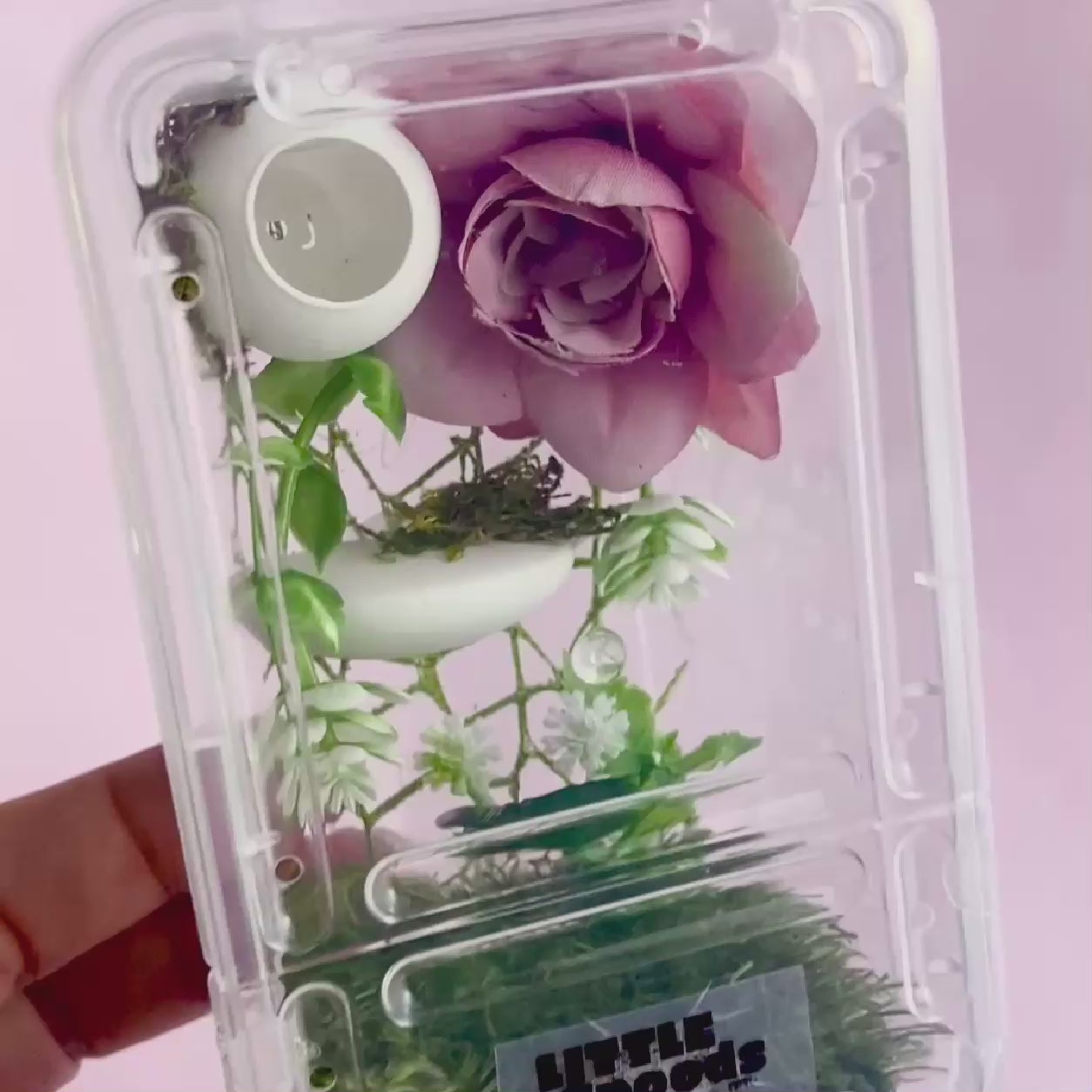 Video showing the decorated jumping spider enclosure with pink floral decor, green foliage, and a removable white hide
