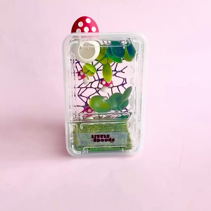 Mushroom Decorated Juvenile Jumping Spider Enclosure