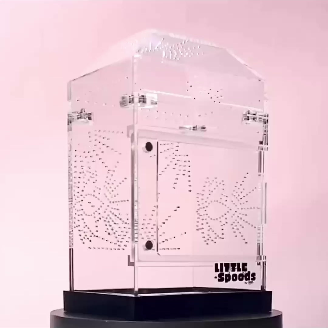 360 degree view of the Medium Imaginarium jumping spider enclosure designed by Little Spoods
