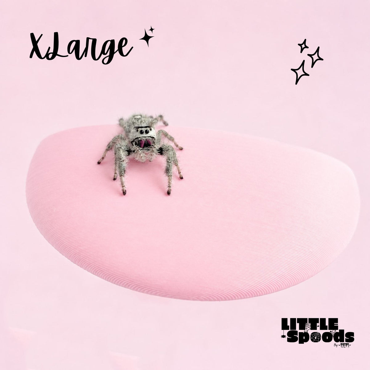 X-Large magnetic jumping spider ledge with a jumping spider perched on it
