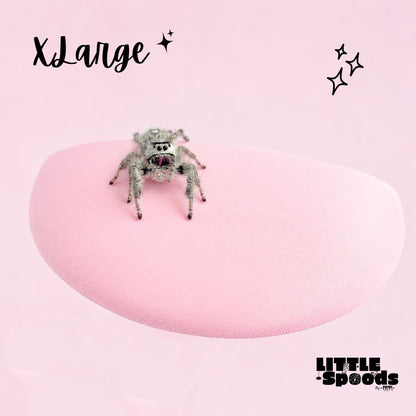 X-Large magnetic jumping spider ledge with a jumping spider perched on it